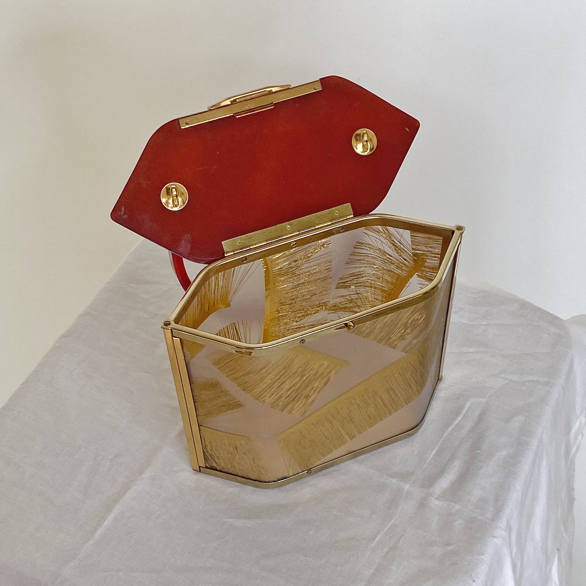 Lucite Box Bag